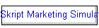 Skript Marketing Simulations
