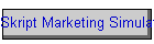 Skript Marketing Simulations
